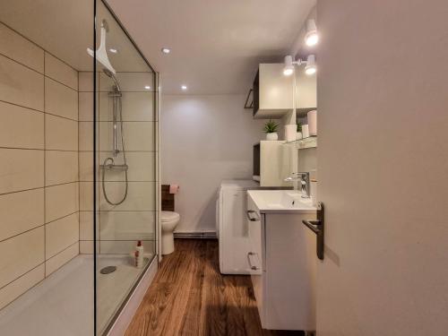 une salle de bain avec une douche, un lavabo et des toilettes dans l'établissement Travel Homes - NewGate 1, elegant, heart of Colmar, à Colmar
