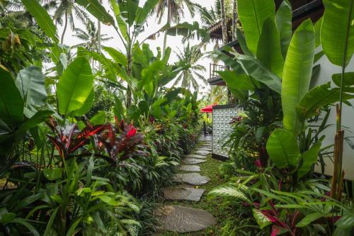 a path through a garden with tropical plants at Masakali Retreat in Ubud