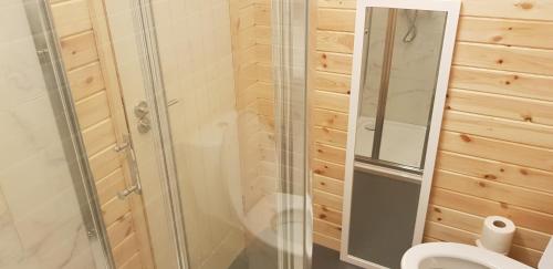 a bathroom with a toilet and a glass shower at Loughmourne Glamping Pod 