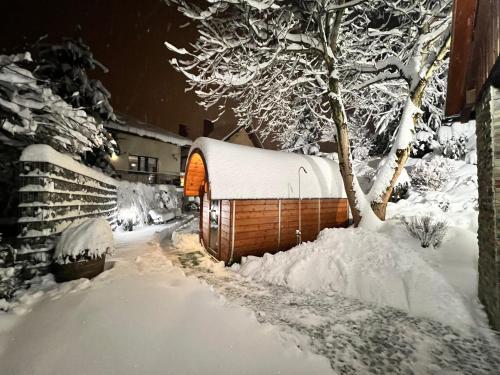 a snow covered building in a yard with a tree at Willa pod Czantorią SPA Ustroń in Ustroń