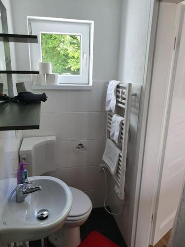 a small bathroom with a toilet and a sink at Naturpanorama in Gleiszellen-Gleishorbach