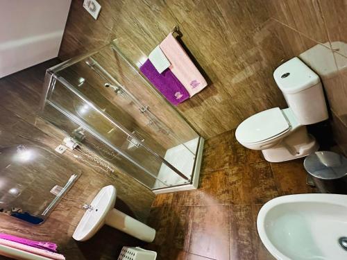 ein Bad mit einem WC und einem Waschbecken in der Unterkunft Residência Iris in Geres