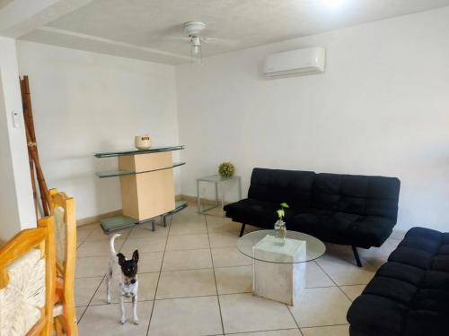 a cat standing in a living room with a couch and a table at Casa Azur- vista al mar y alberca in Acapulco