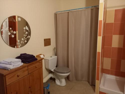 a bathroom with a toilet and a shower and a mirror at la clairiere in Sarlat-la-Canéda