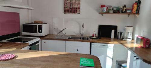 une cuisine avec un évier et un micro-ondes dans l'établissement Oasis de verdure en centre ville, à Nantes