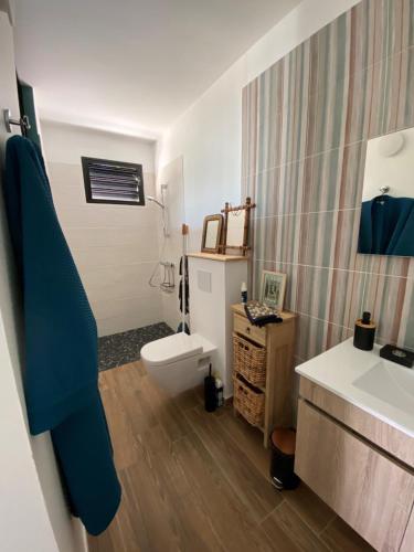 een badkamer met een wit toilet en een wastafel bij Le CAILLOU in La Trinité
