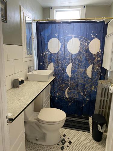 baño con aseo y cortina de ducha azul en Maryland Homestay in Winnpeg downtown en Winnipeg