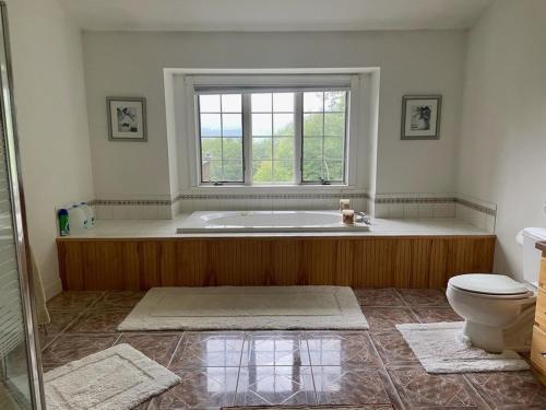 a bathroom with a tub and a toilet and a window at Highland Woods - Private home on 37 acres with stunning mountain views in Shaftsbury