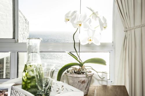 a dining room table with a window with a white orchid at Rocklands Seaside Bed and Breakfast in Simonʼs Town