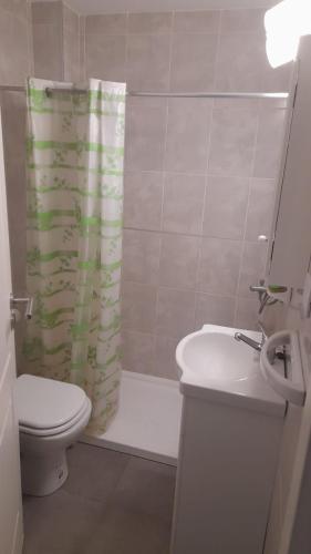 a bathroom with a toilet and a sink and a shower curtain at Departamento JS - Centro Bariloche in San Carlos de Bariloche