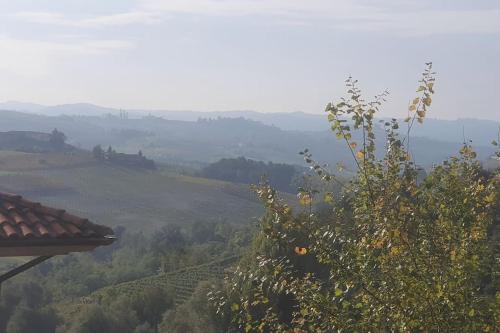 a view of a vineyard from a hill with a tree at Monforte charming 2-5Room Flat in Center TrulloVista in Monforte dʼAlba