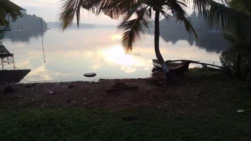 una palma seduta accanto a un corpo d'acqua di CINNAMON LAKE VILLA a Habaraduwa Central