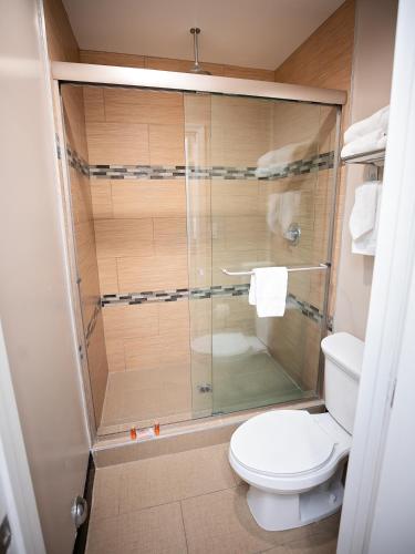 a bathroom with a toilet and a glass shower at Diamond Bell Inn & Suites in Bell