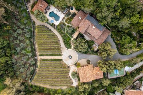 Peppertree Canyon: a Luxury Urban Winery Estate