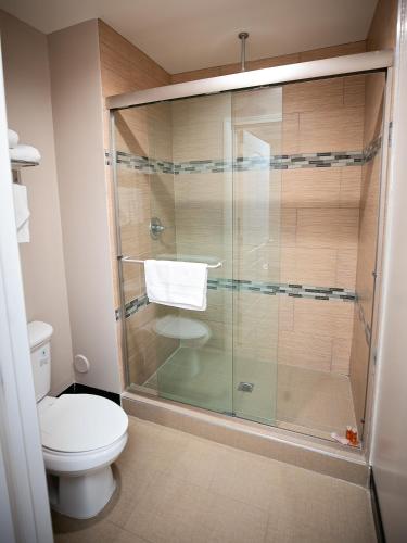 a bathroom with a glass shower with a toilet at Diamond Bell Inn & Suites in Bell