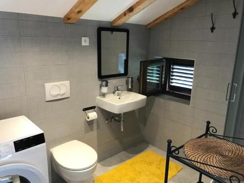 ein Badezimmer mit einem Waschbecken, einem WC und einem Spiegel in der Unterkunft Apartments Luki - great view in Smergo