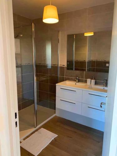 une salle de bain avec douche et lavabo dans l'établissement Appartement Le 17, à Narbonne