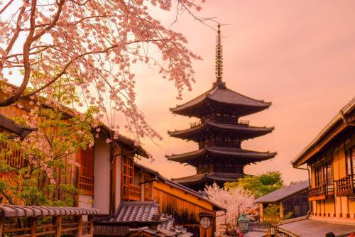 a pagoda in the middle of a town with buildings at Framboise KYOTO Hotel de charme in Kyoto