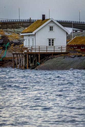 a white building on a dock next to the water at Toppøy Rorbuer in Reine