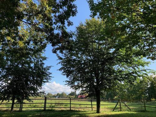 a fence and two trees in a field at Wohnung m. eigener Terrasse u. Zugang, Hamburg-nah in Ahrensburg