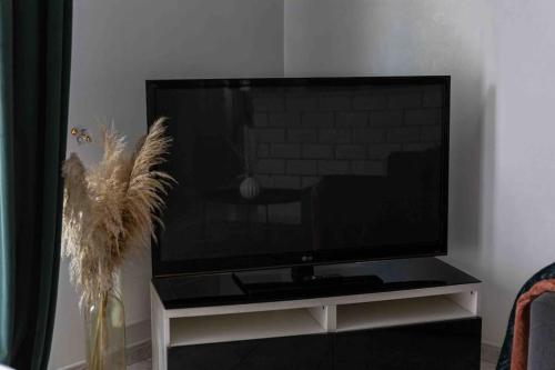 a flat screen tv sitting on a entertainment center at Le cosy : proche cdg-parc des expo-Paris-Disney in Sevran