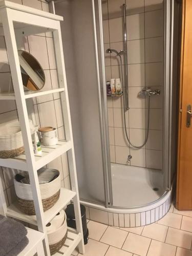 a bathroom with a shower and a shelf with plates at Appartement mit Alpensicht, beheiztem Pool, Garten in Heitenried