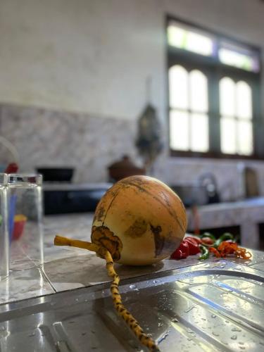 a cantaloupe sitting on top of a counter at Guruge villa in Hikkaduwa