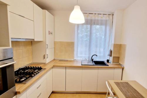 eine Küche mit weißen Schränken, einem Waschbecken und einem Fenster in der Unterkunft Belle Apartments - Bratianu in Piteşti