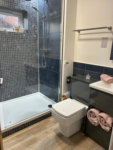 a bathroom with a shower and a toilet and a sink at 5 O Clock Somewhere with Private Hot Tub in Sheringham