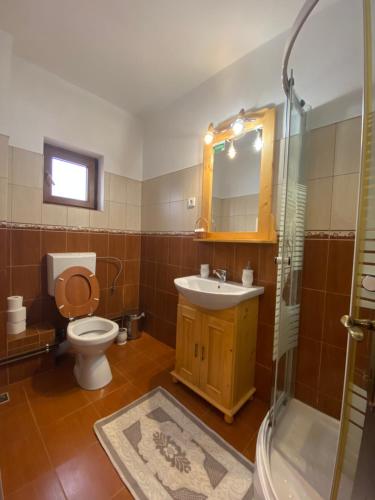a bathroom with a toilet and a sink and a shower at Pensiunea Marioara in Breb