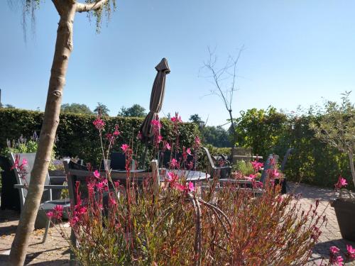 Jardín al aire libre en B&B-Hotel de Joremeinshoeve