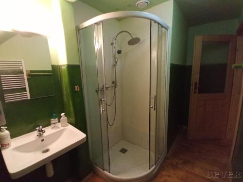 a bathroom with a shower and a sink at Ekocentrum DOTEK in Horní Maršov