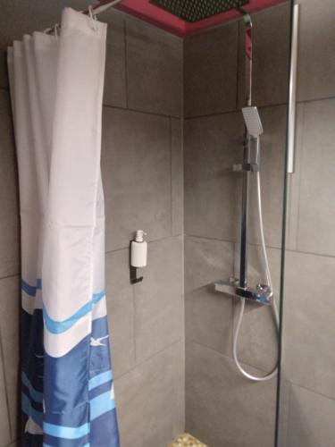 y baño con ducha y cortina de ducha. en LA PLANTATION, en Saint-André