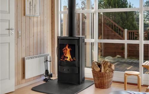 a stove in a living room with a fireplace at Stunning Home In Rødby With Sauna in Rødby
