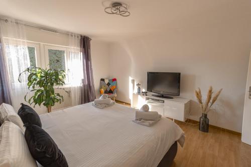 1 dormitorio con 1 cama blanca y TV en Le gîte de Sabina - Colmar, en Colmar
