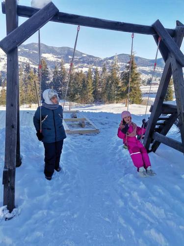 two children playing on a swing in the snow at Cabana Busuioc in Colibiţa