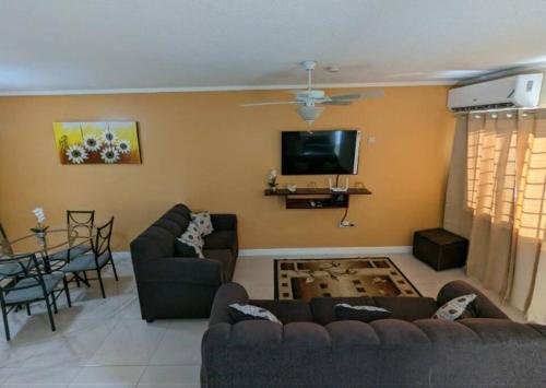 ein Wohnzimmer mit 2 Sofas und einem Flachbild-TV in der Unterkunft Comfy Seascape Retreat near Kingston Airport in Kingston