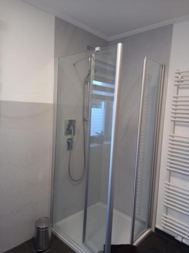 a shower with a glass door in a bathroom at Cafe und Pension Ringer in Vilseck