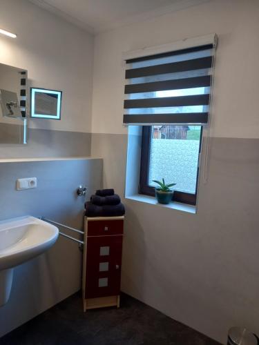uma casa de banho com um lavatório e uma janela em Cafe und Pension Ringer em Vilseck