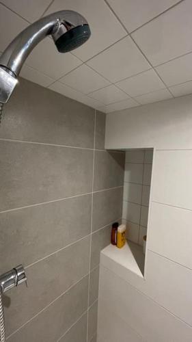 une douche dans une salle de bain avec une pomme de douche dans l'établissement Charmant cocon au cœur de Dijon, à Dijon