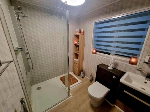 a bathroom with a shower and a toilet and a sink at The Light House in Seaham