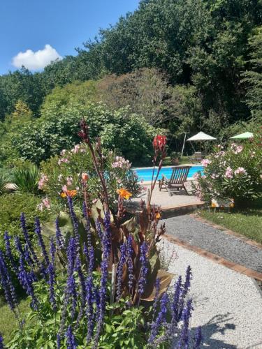 un jardin avec des fleurs violettes à côté d'une piscine dans l'établissement Gîte appartement, Sous les Arbres, à Montagudet