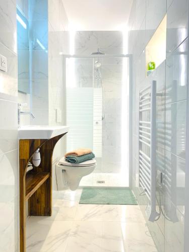 une salle de bain avec une douche, des toilettes et un lavabo dans l'établissement 2 bedrooms - Paris centre - Champs Elysees, à Paris