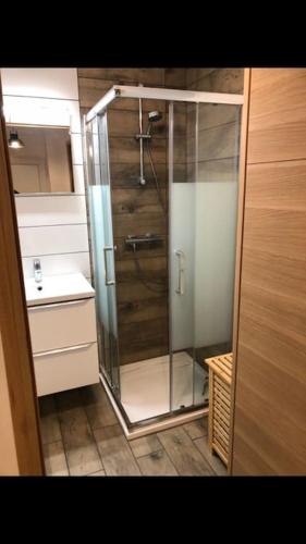 une douche en verre dans une salle de bain avec un lavabo dans l'établissement F2 au pied de la Basilique, à Saint-Nicolas-de-Port