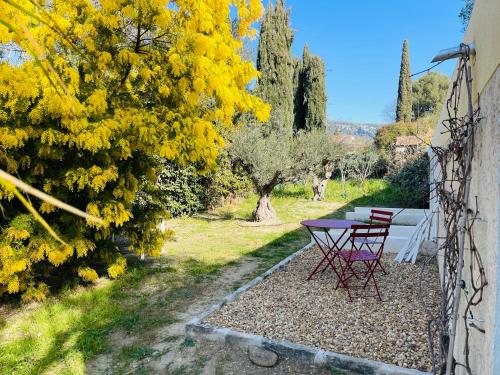 Zahrada ubytování L'ATELIER - Piscine - Dans les vignes - Cassis