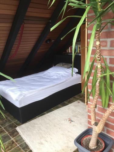 a bed in the attic of a house with a plant at Düsseldorfer Privatzimmer in Düsseldorf