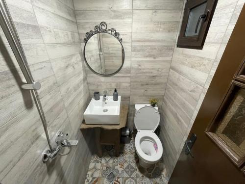 uma casa de banho com um lavatório, um WC e um espelho. em Vista Verde em Oreshak