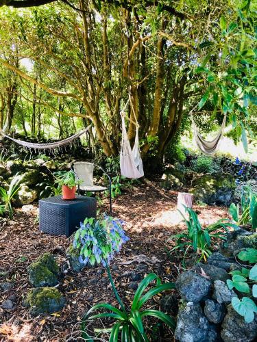a garden with a hammock and some plants and trees at Quinta Pereirinha Farm - A Private 3 Bedroom Vacation Home, Close to Hiking w Ocean Views - Pico Island, Azores in São Roque do Pico