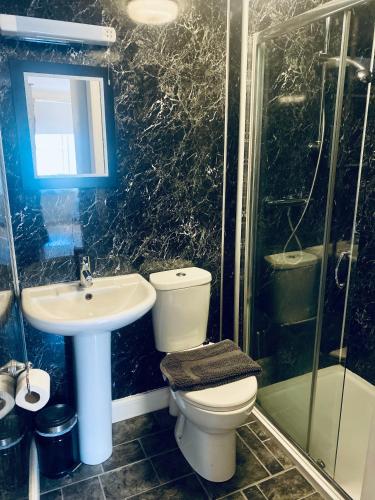 a bathroom with a toilet and a sink and a shower at Newcastle Arms Hotel in Coldstream