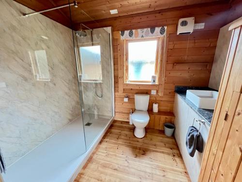 a bathroom with a toilet and a shower and a sink at Reeds Lodge, Lake Pochard in South Cerney